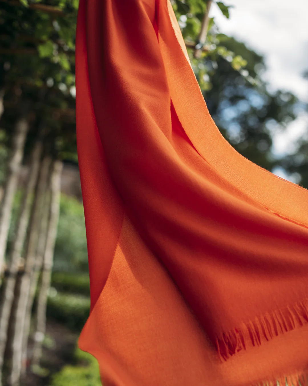 A Light Touch 100% Merino Wool Scarf - Plain Citrus
